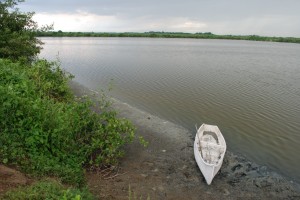 Organic Shrimp Farm in Ecuador